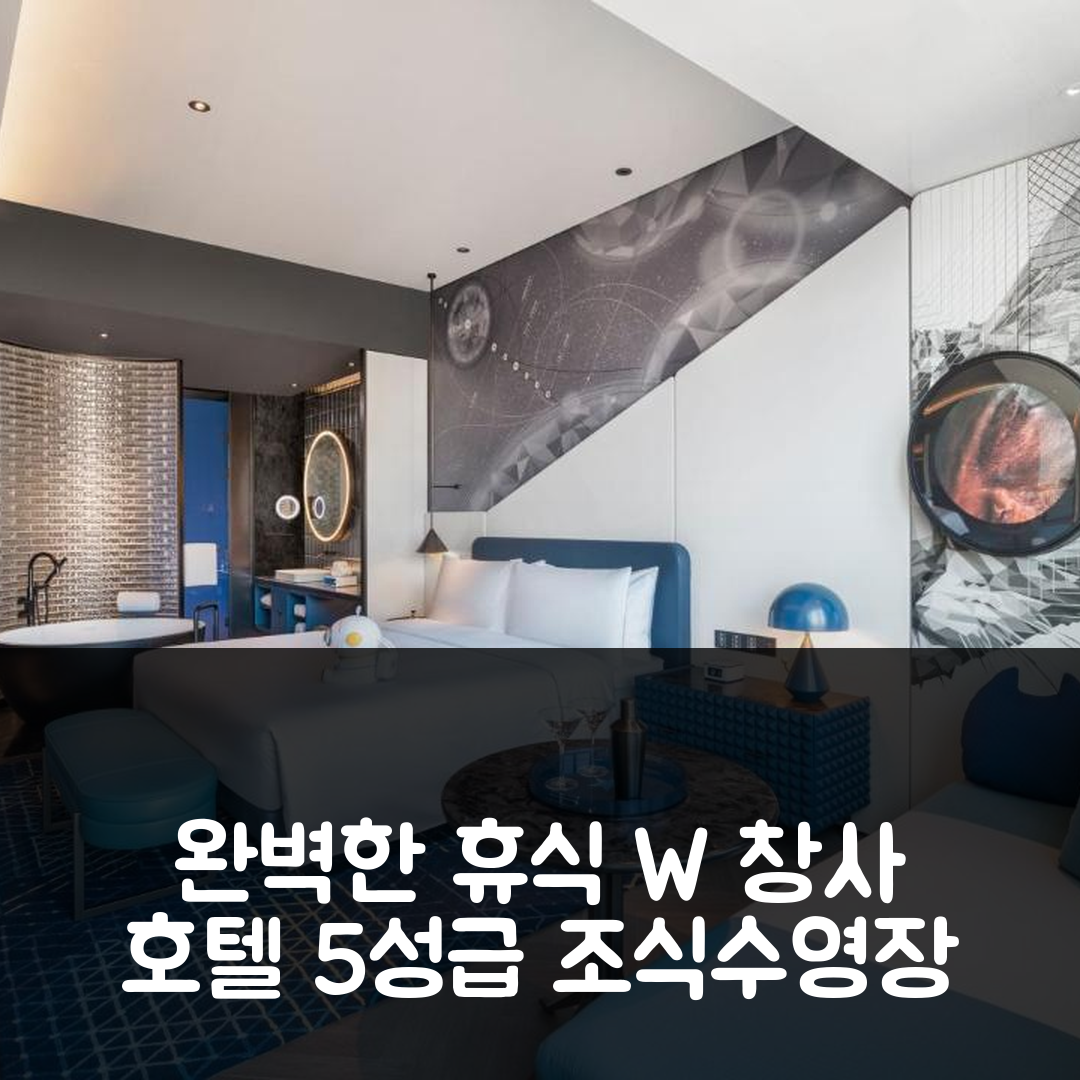 창사 숙소 여행 호텔 추천 W 창사 호텔 | 5성급 조식과 수영장으로 완벽한 휴식 7가지 요인