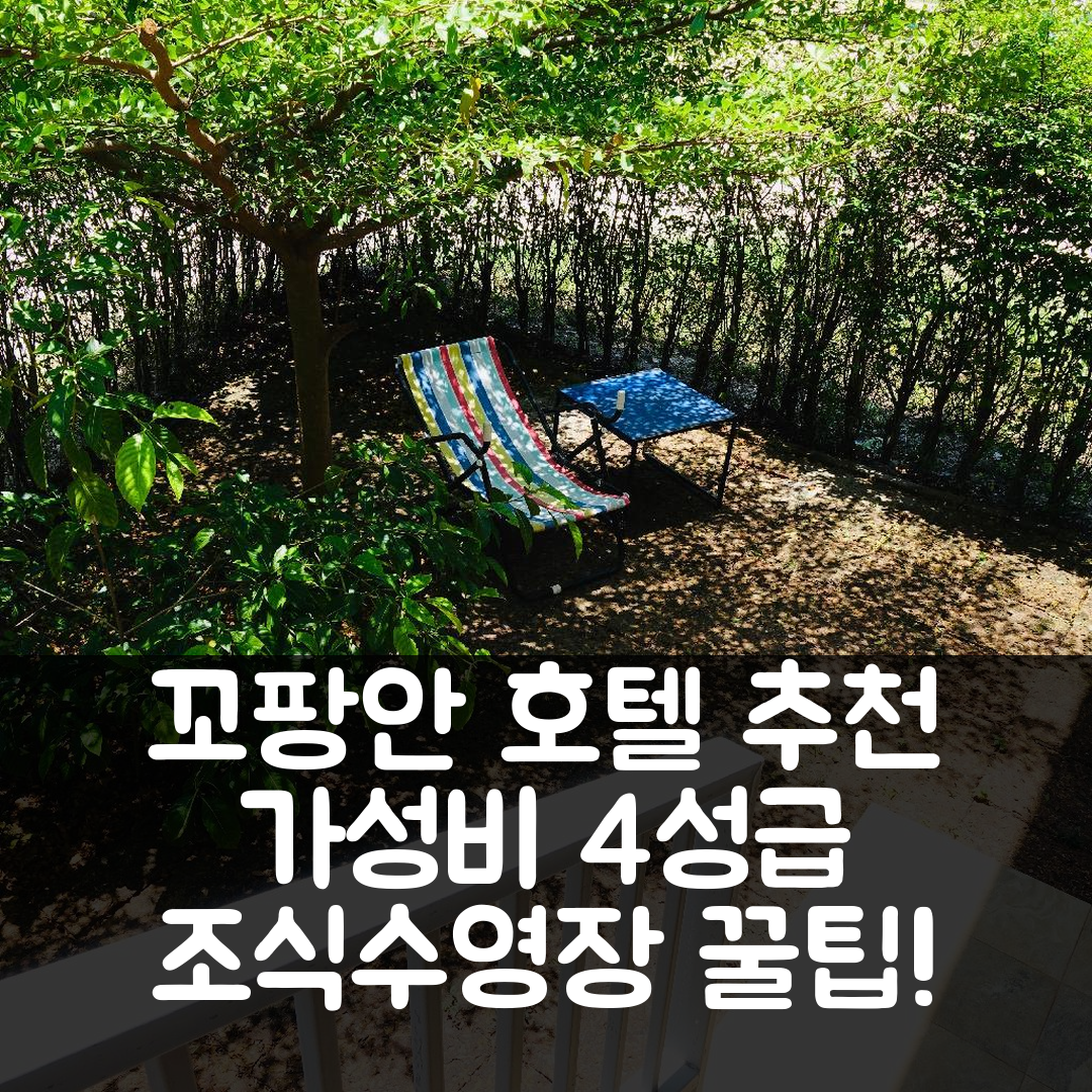 꼬팡안 숙소 여행 호텔 추천 윈드폴 호텔 | 가성비 뛰어난 4성급 조식과 수영장 이용 5가지 팁