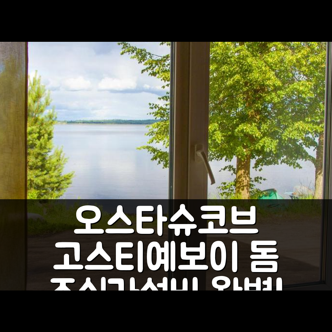 오스타슈코브 숙소 여행 호텔 추천 고스티예보이 돔 베레고바야 | 조식과 가성비로 완벽한 휴식지의 7가지 매력