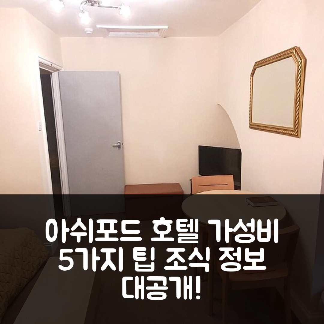 아쉬포드 숙소 여행 호텔 추천 그레이스 아파트먼트 리빙 워터스 1 | 가성비 좋은 5가지 예약 팁과 조식 정보