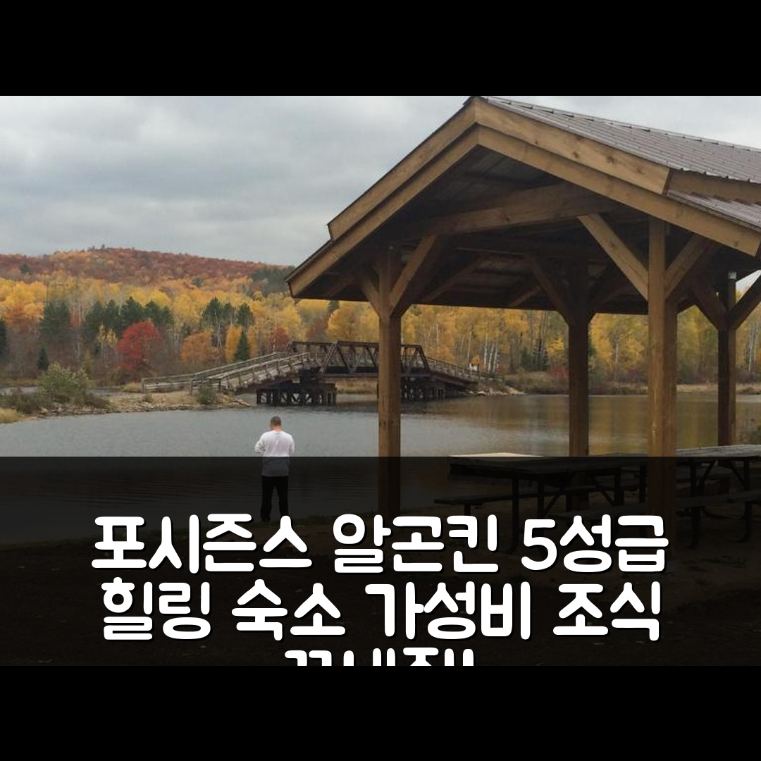 제목: 사우스 알곤킨 숙소 여행 호텔 추천 포시즌스 알곤킨 캐빈 | 가성비와 조식이 뛰어난 5성급 힐링 공간 7가지 이유