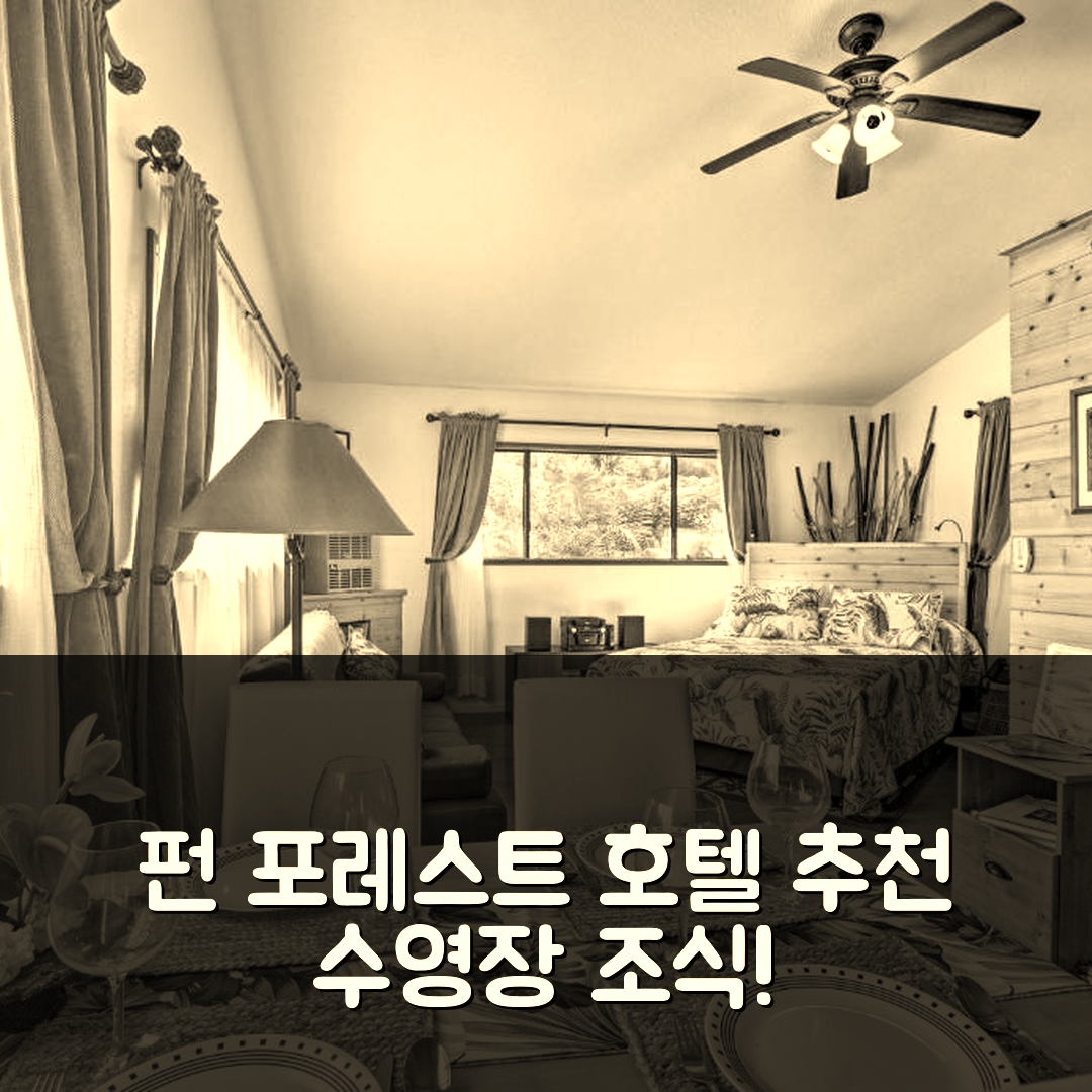 펀 포레스트 숙소 여행 호텔 추천 펀 코티지 아일랜드 이스케이프 | 놀라운 비경과 조식, 수영장 정보 7가지