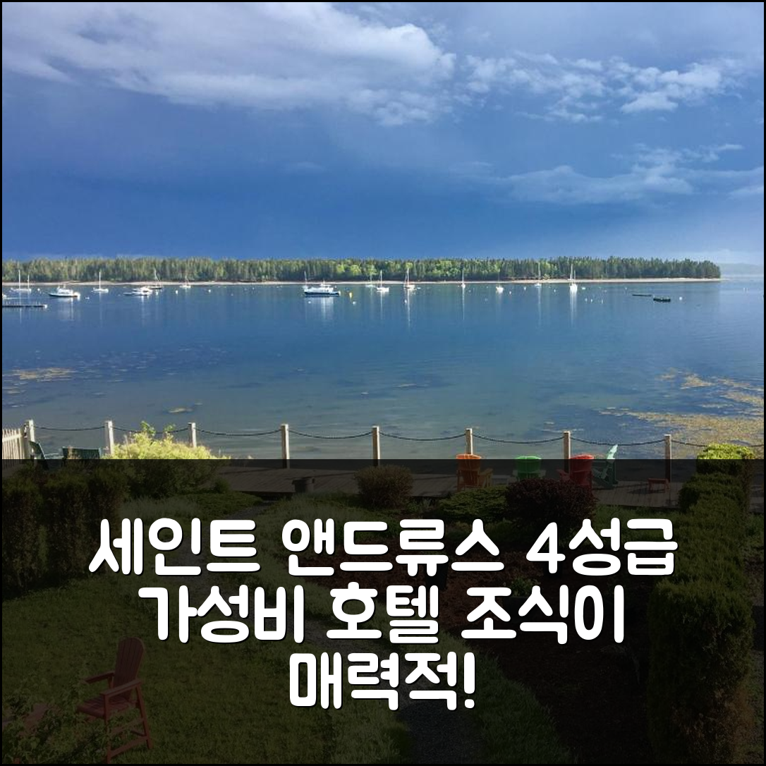 세인트 앤드류스 숙소 여행 호텔 추천 트레드웰 인 | 가성비와 조식이 뛰어난 4성급 호텔의 매력 6가지