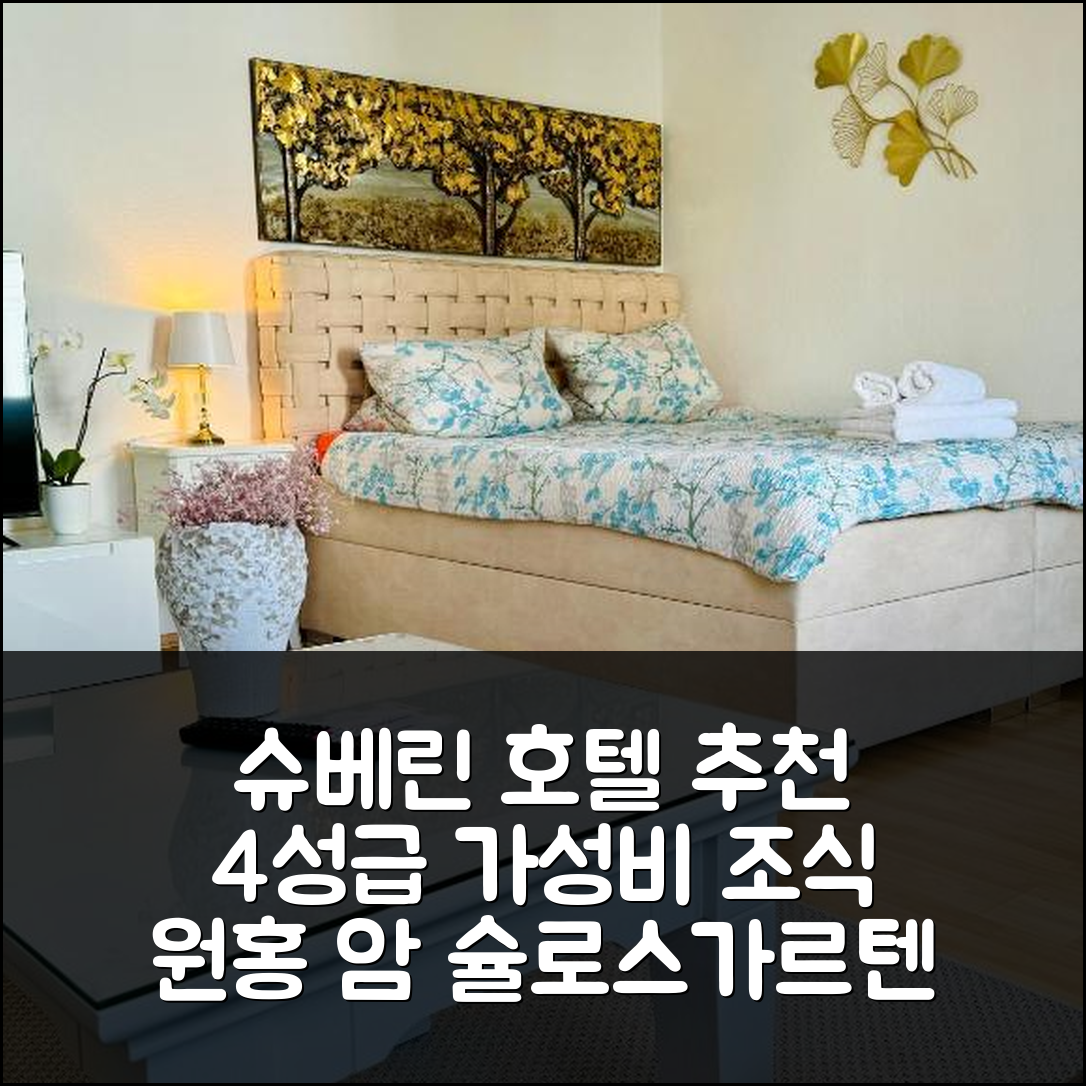 슈베린 숙소 여행 호텔 추천 원홍 암 슐로스가르텐 | 4성급 조식과 가성비 뛰어난 위치 정보 5가지