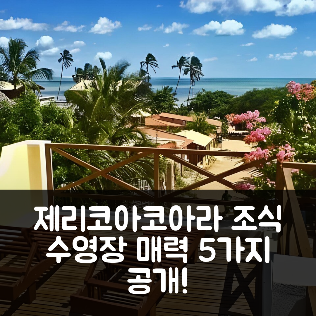 제리코아코아라 숙소 여행 빌라 테라 비바 | 조식과 수영장이 매력적인 5가지 이유