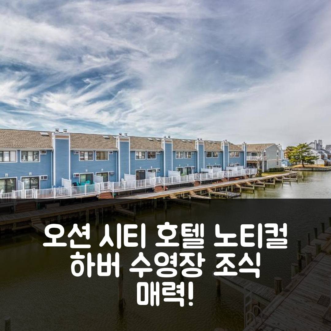 오션 시티 숙소 여행 호텔 추천 노티컬 하버 호텔 | 4성급 수영장과 조식이 매력적인 이유 5가지