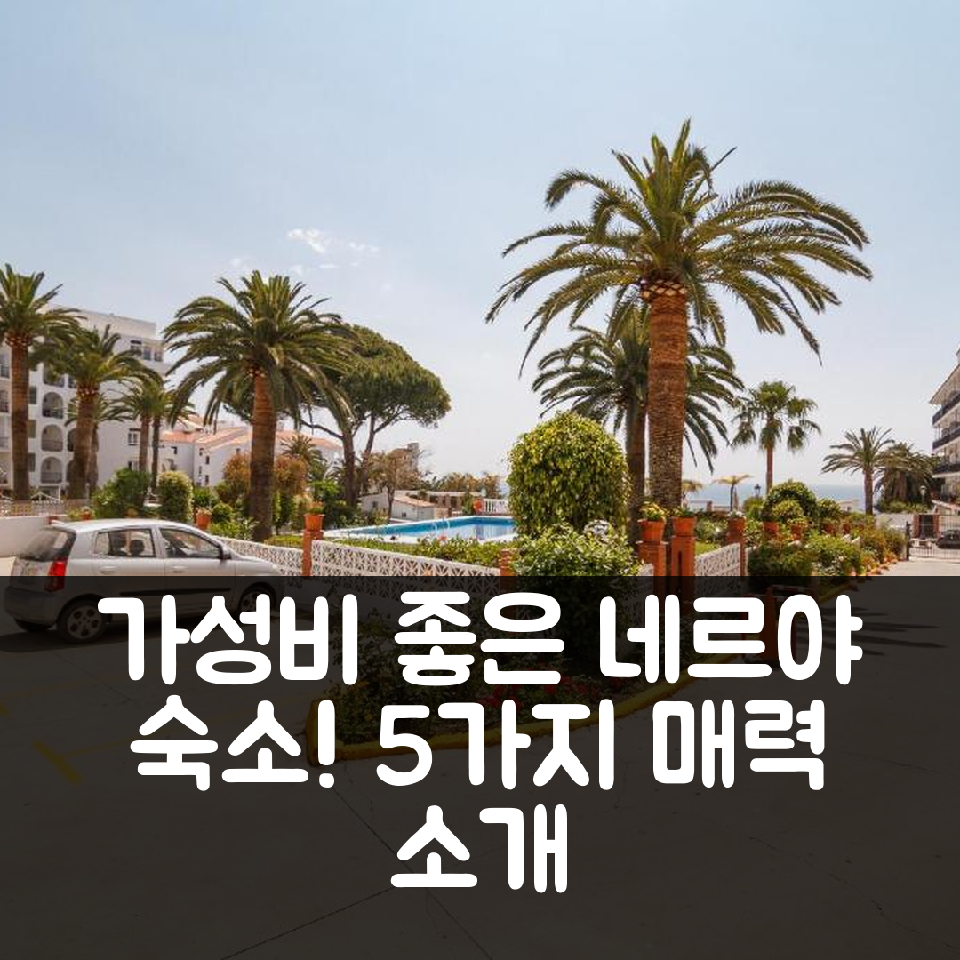 네르야 숙소 여행 호텔 추천 카라베오 45 스튜디오 | 가성비와 조식, 편리한 위치의 5가지 매력