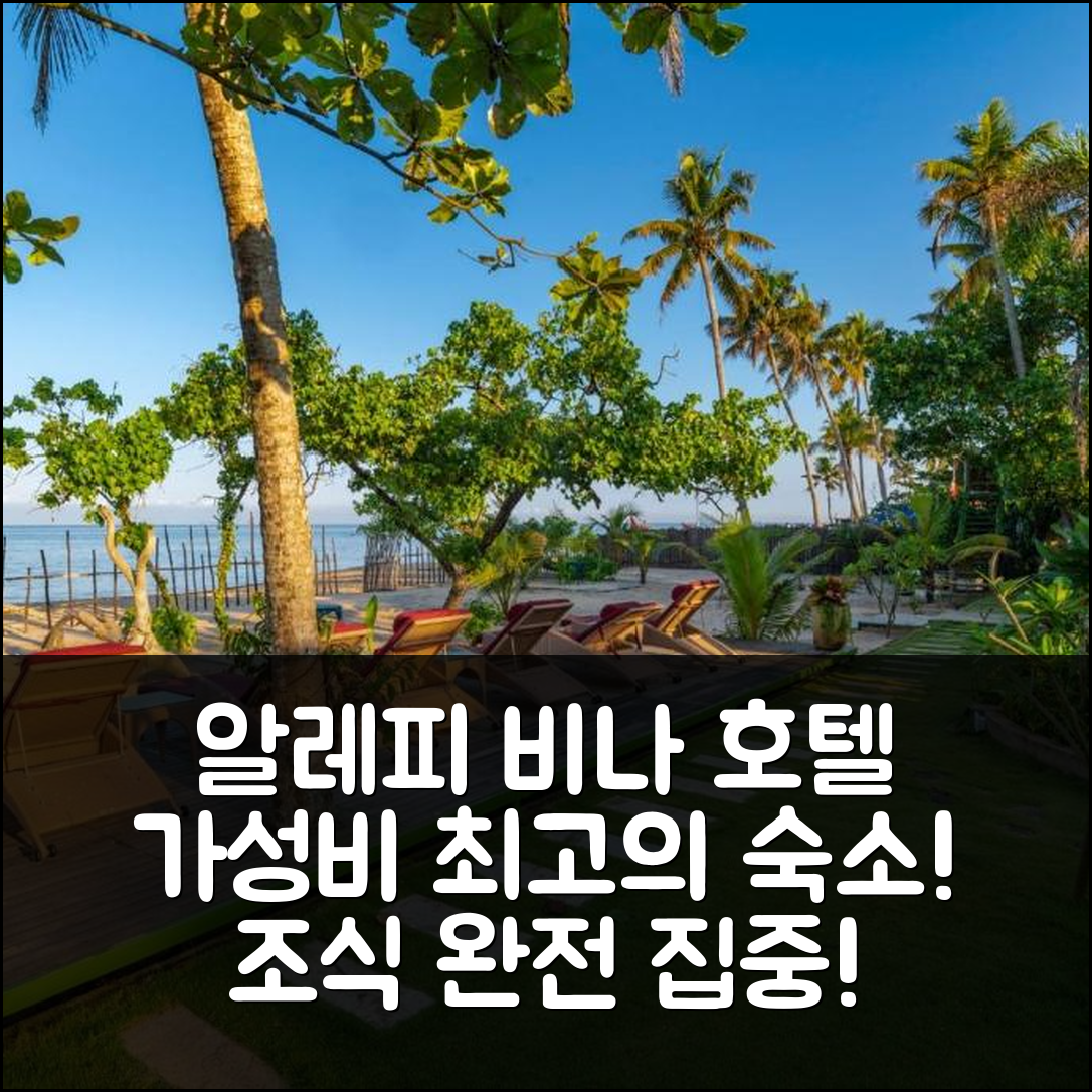 알레피 숙소 여행 호텔 추천 비나 바이 더 비치 | 가성비와 조식이 뛰어난 5가지 이유와 가격 정보