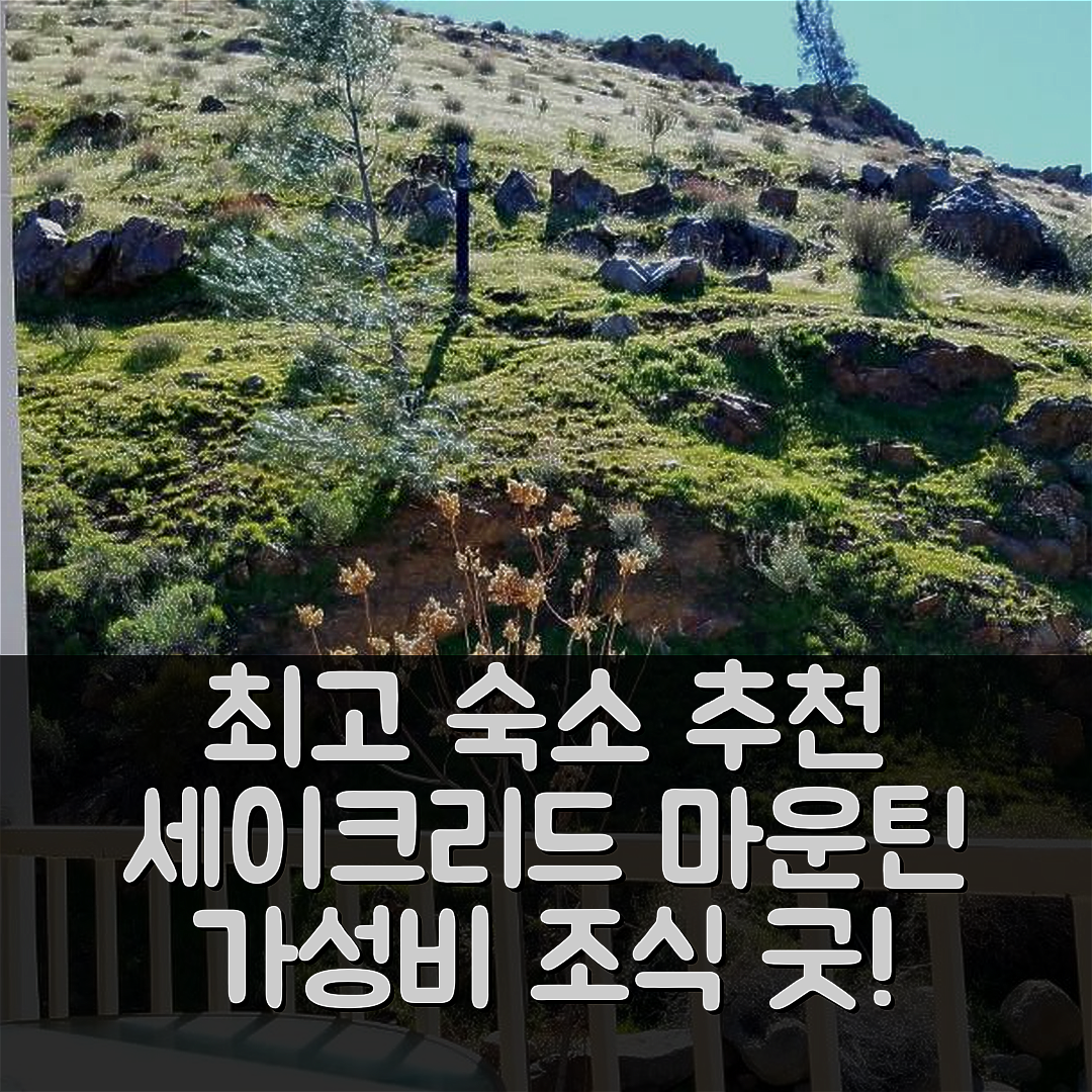 컨빌 숙소 여행 호텔 추천 세이크리드 마운틴 리버 스위트 | 가성비와 조식이 뛰어난 5가지 이유