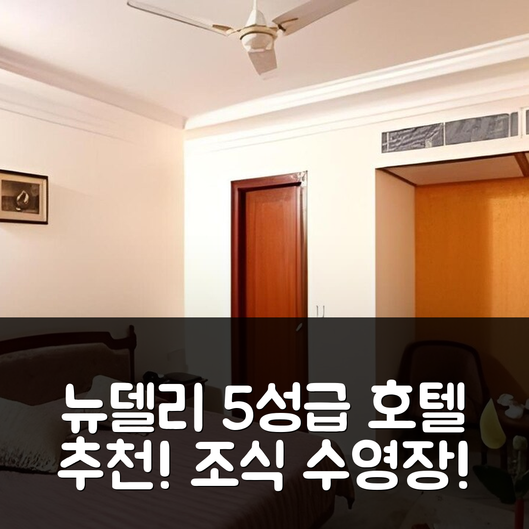 뉴델리 숙소 여행 호텔 추천 호텔 그랜드 프레지던트 | 5성급 조식과 가성비 좋은 수영장 정보 7가지